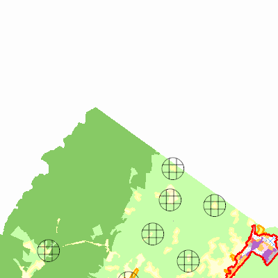 Export Image